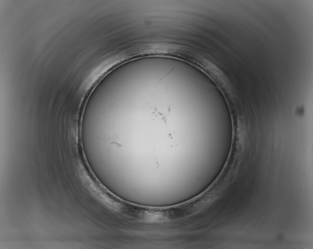 X0000116830794200912241225