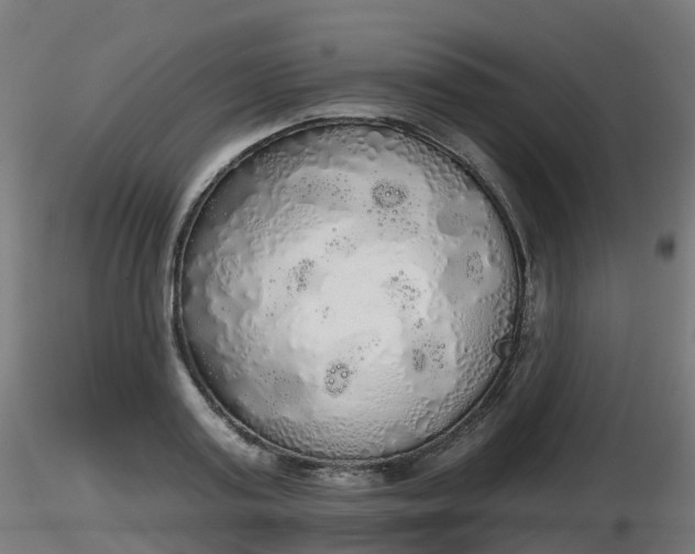 X0000116830795200912241225