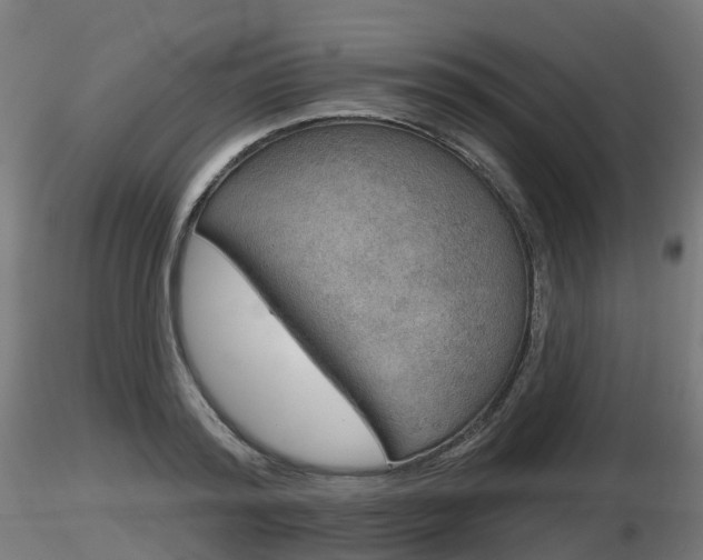 X0000116830796200912241225