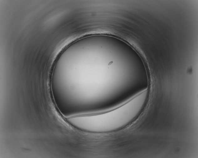 X0000116830797200912241225
