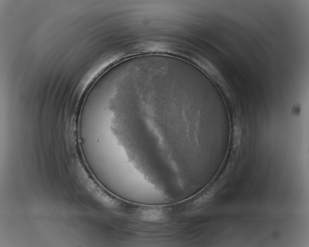 X0000116830798200912241225