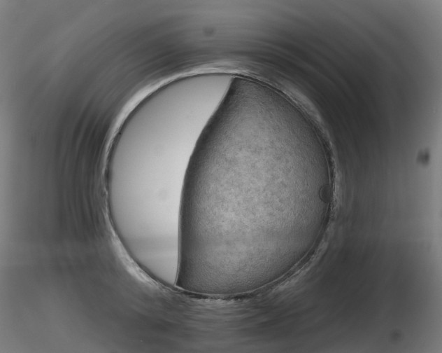 X0000116830800200912241225