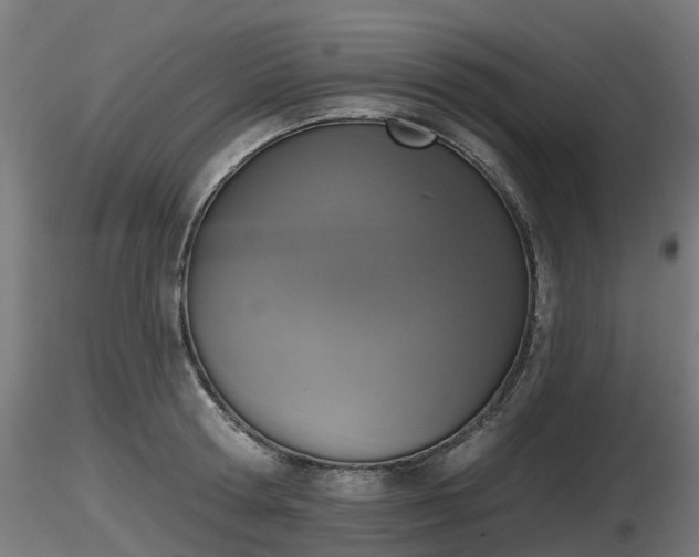 X0000116830802200912241225