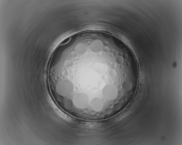 X0000116830803200912241225
