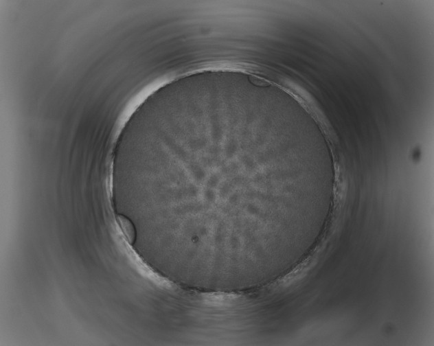 X0000116830804200912241225