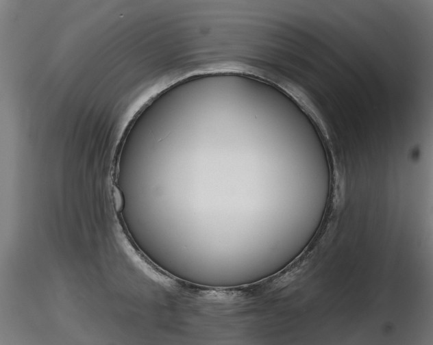 X0000116830805200912241225