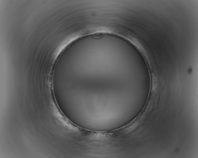 X0000116830806200912241225