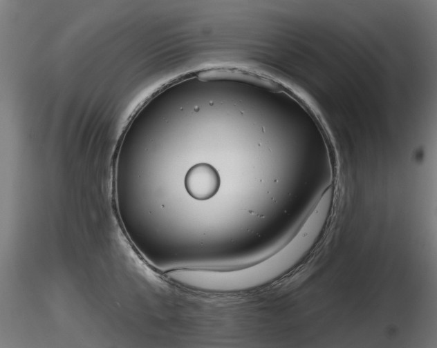 X0000116830807200912241225