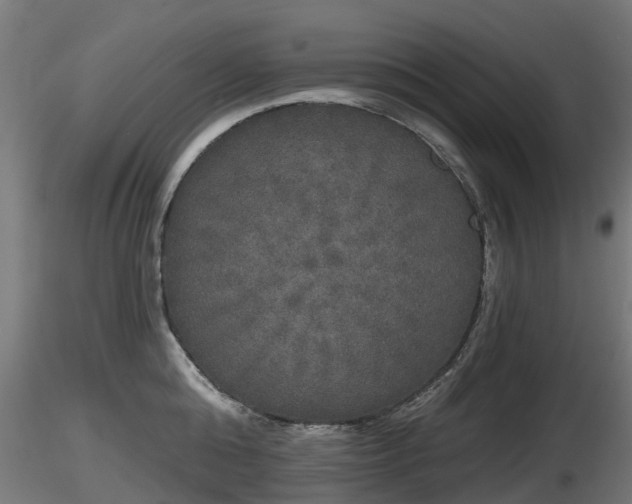 X0000116830808200912241225