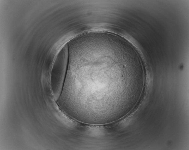 X0000116830809200912241225