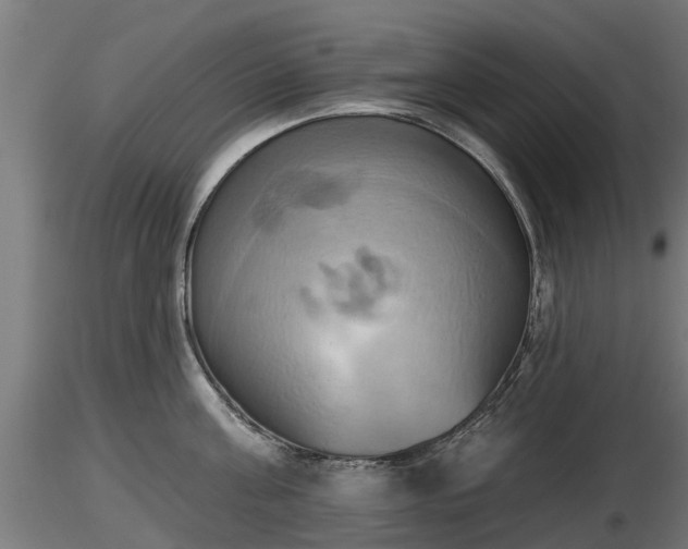 X0000116830811200912241225