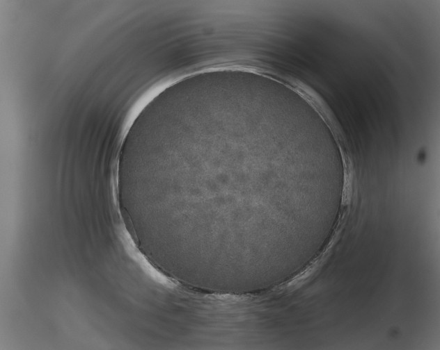 X0000116830812200912241225