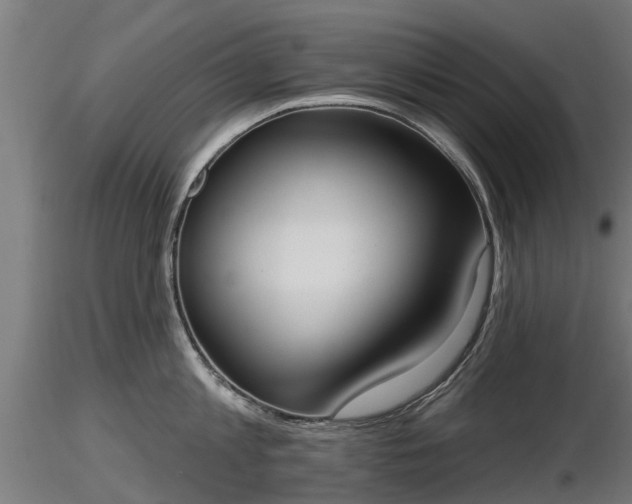 X0000116830813200912241225