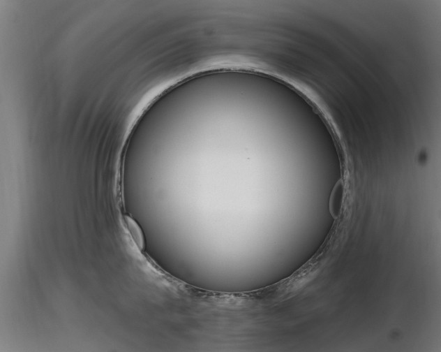 X0000116830815200912241225