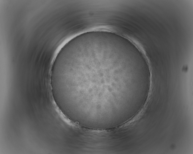 X0000116830816200912241225