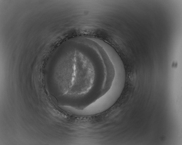 X0000116830817200912241224
