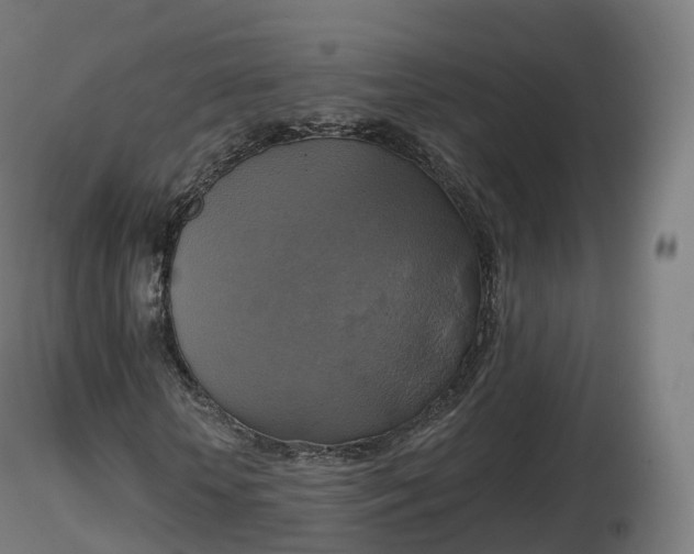 X0000116830818200912241225