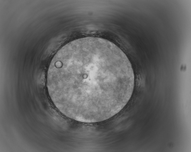 X0000116830820200912241225