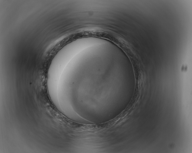 X0000116830822200912241225