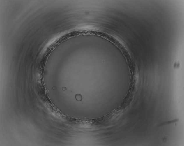 X0000116830823200912241225