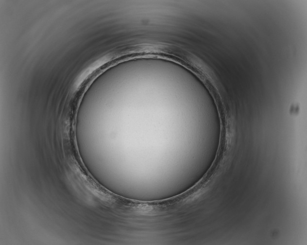 X0000116830827200912241225