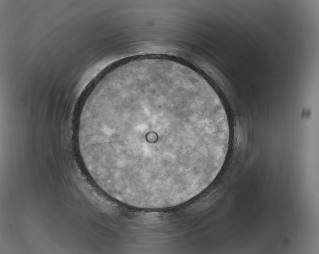 X0000116830828200912241225