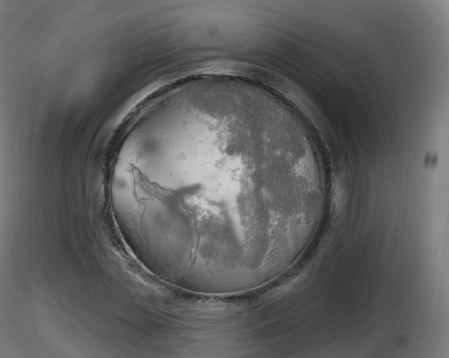 X0000116830829200912241225