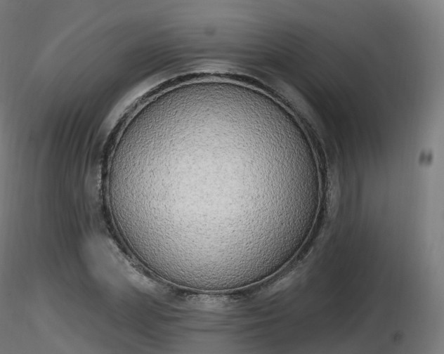 X0000116830831200912241225
