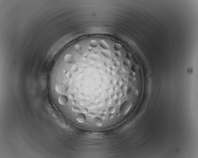 X0000116830833200912241225