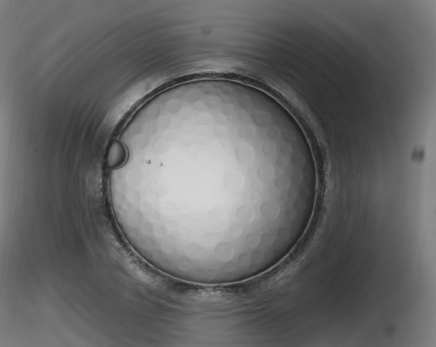 X0000116830834200912241225