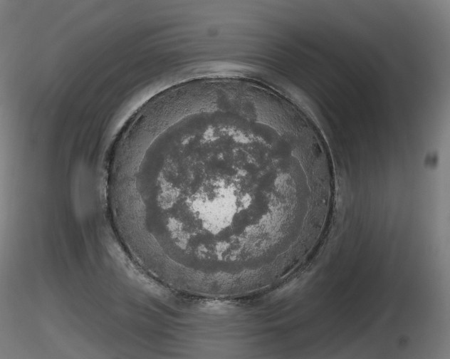 X0000116830835200912241225