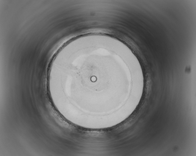 X0000116830836200912241225