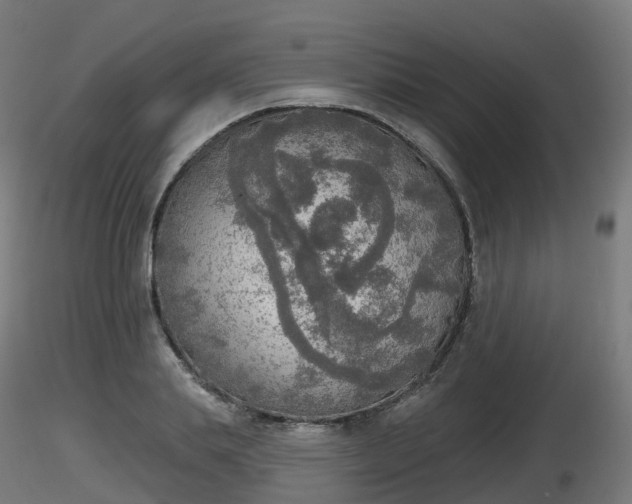 X0000116830839200912241225