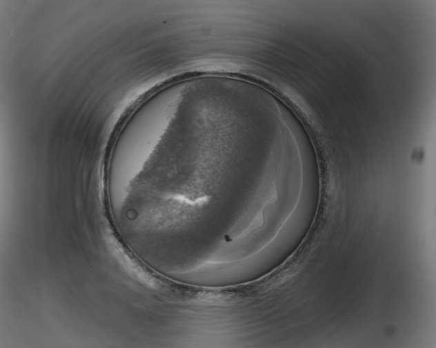 X0000116830840200912241225