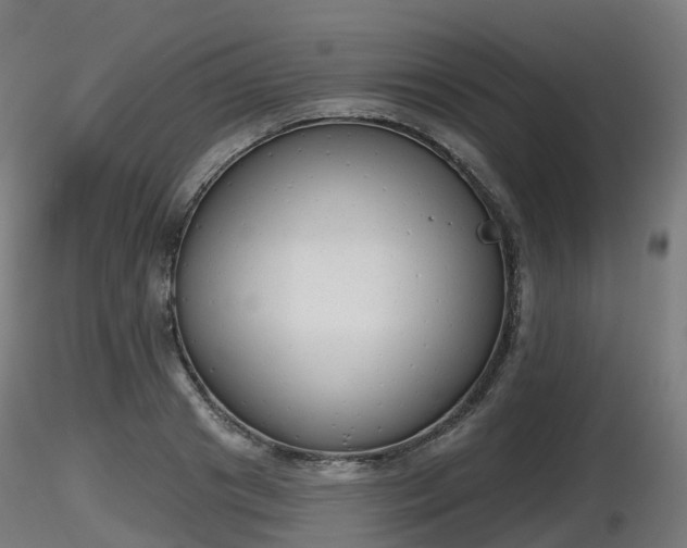 X0000116830841200912241225
