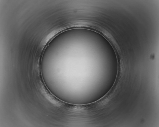 X0000116830842200912241225