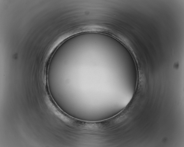 X0000116830843200912241225