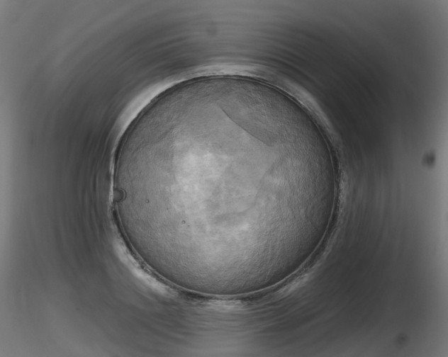 X0000116830844200912241225