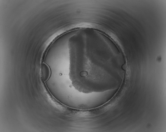 X0000116830845200912241225