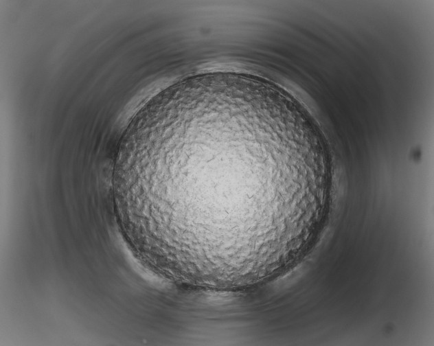 X0000116830849200912241225