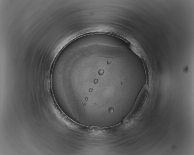 X0000116830850200912241225