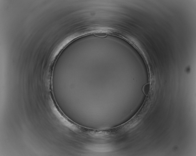 X0000116830851200912241225