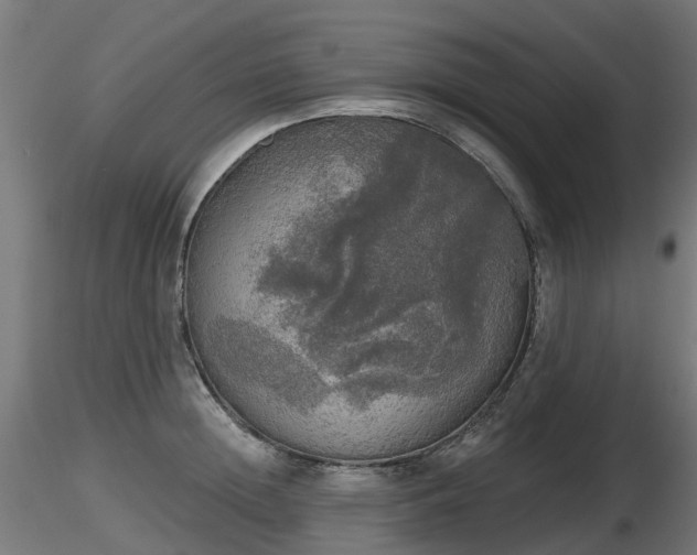 X0000116830852200912241225