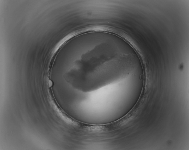 X0000116830853200912241225