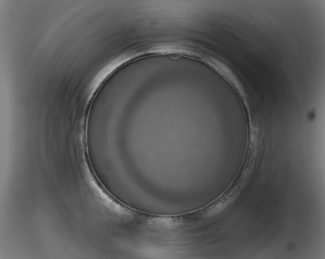 X0000116830855200912241225