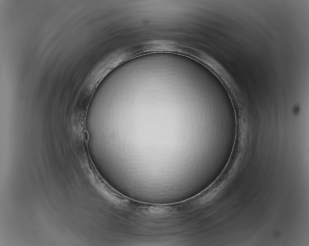 X0000116830857200912241225