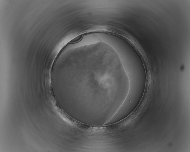 X0000116830858200912241225