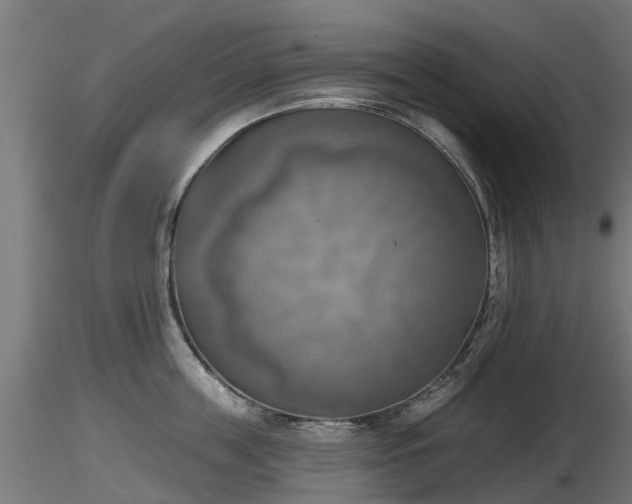 X0000116830859200912241225