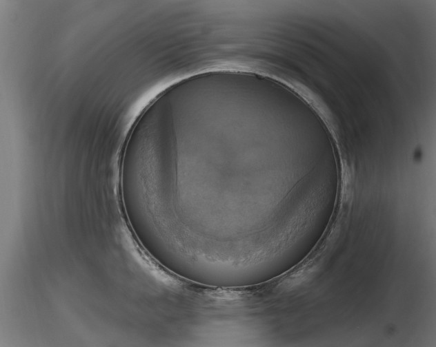 X0000116830862200912241225