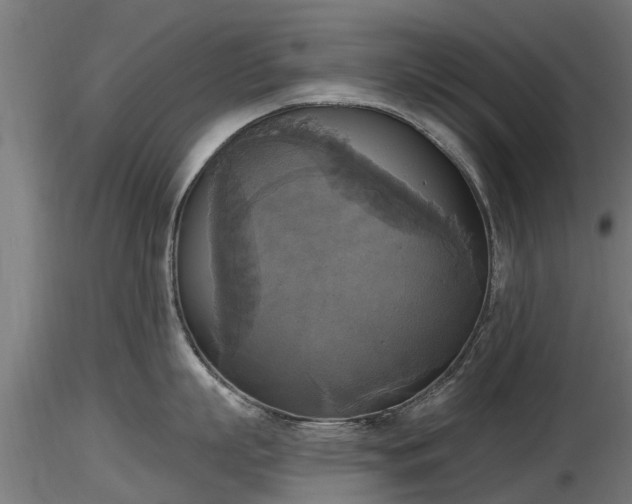 X0000116830863200912241225